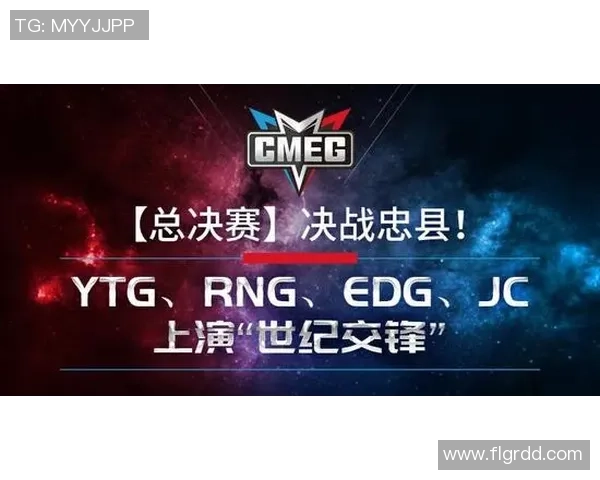 WE战队的拼搏之路与荣耀时刻深度解析