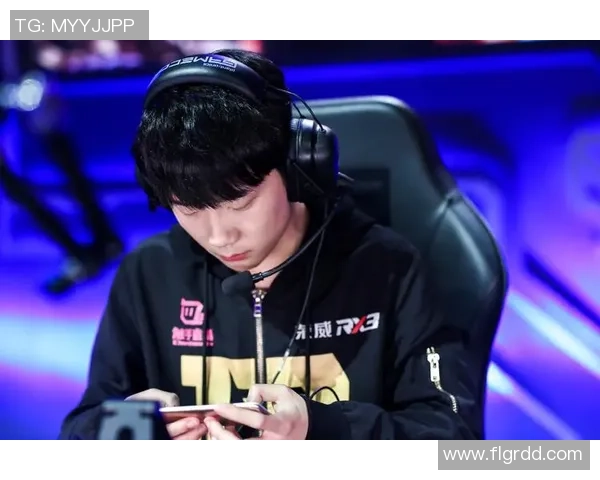 RNG战队在王者荣耀个人能力排名中再创辉煌成就引发玩家热议